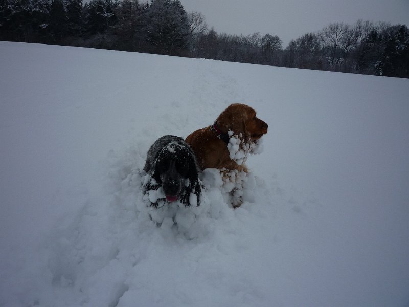 holky20,1,2009 003.jpg